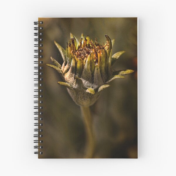 Item preview, Rustic Gazania designed and sold by Dianne English.