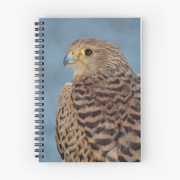 Item preview, Kestrel designed and sold by Macky.