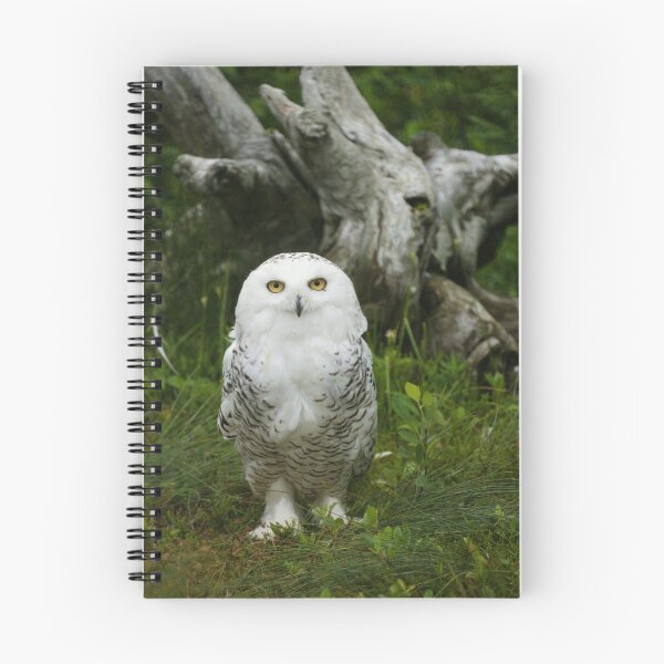 Item preview, Snowy owl designed and sold by Jean Knowles.