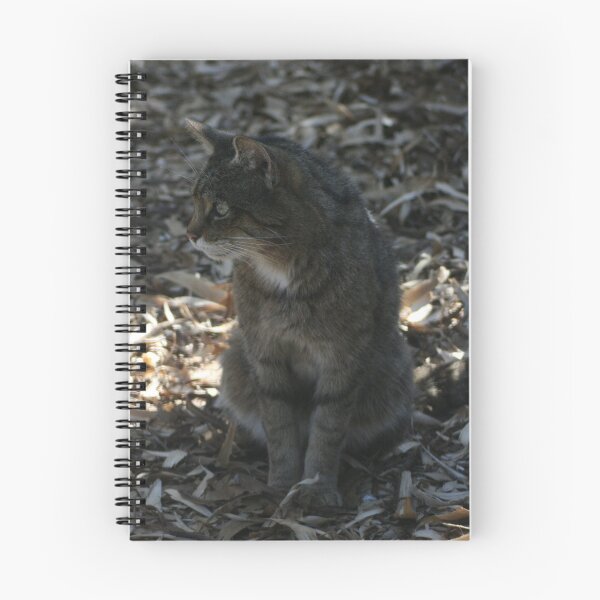 Item preview, Wild? I'm Livid designed and sold by Dave Godden.