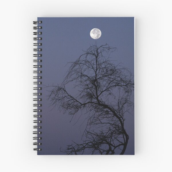 Item preview, Equilibrium designed and sold by Hélène David-Cuny.