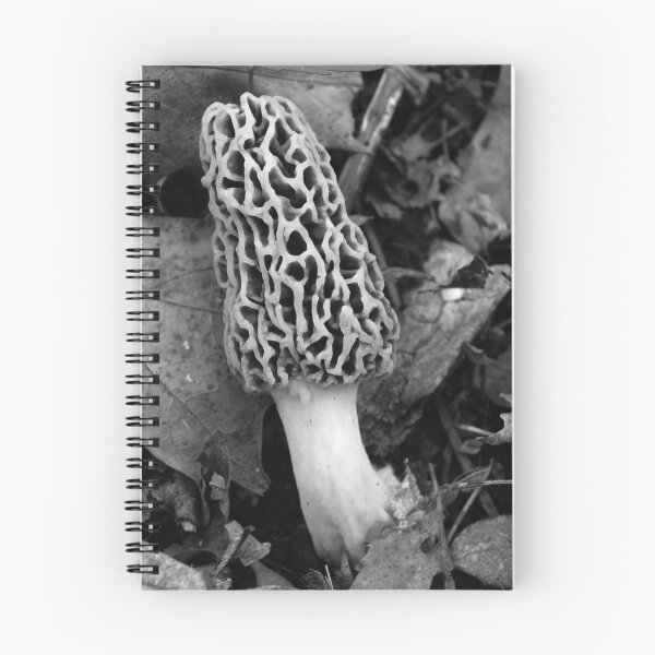 Item preview, Morel designed and sold by rdshaw.