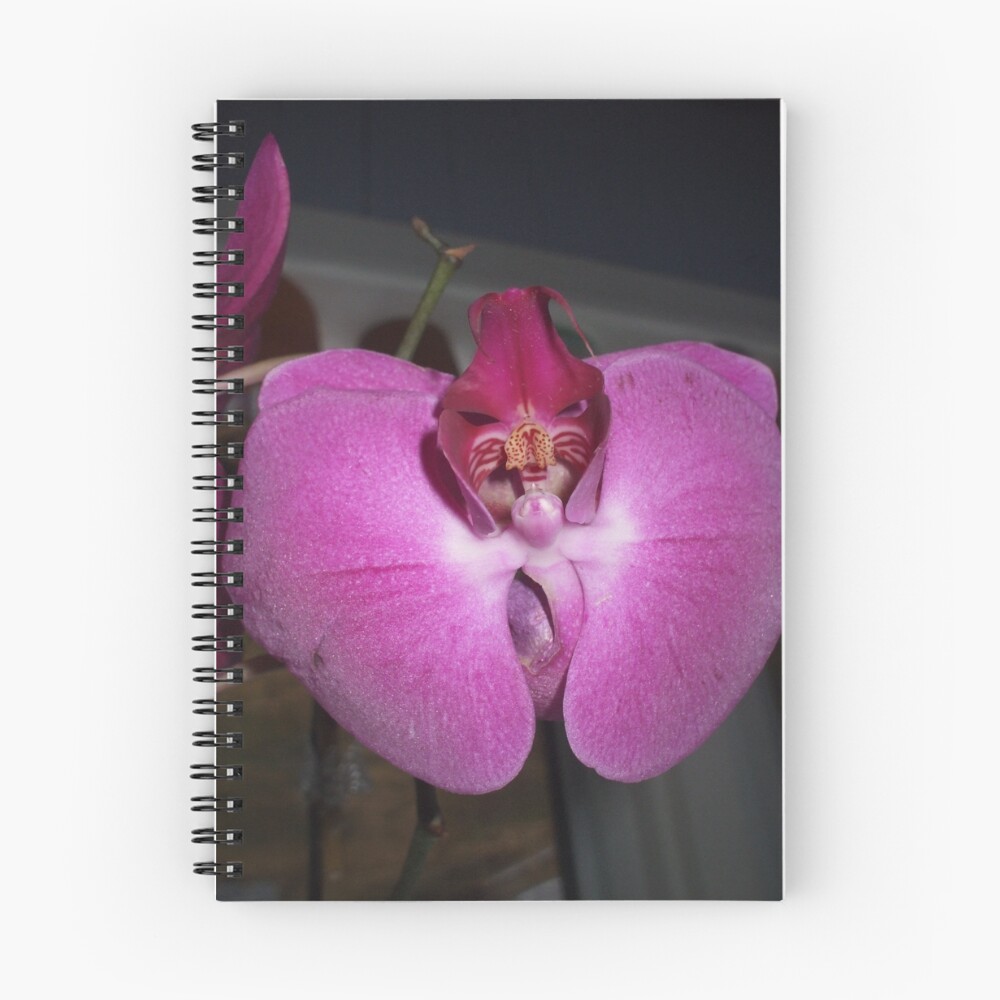 Item preview, Spiral Notebook designed and sold by Ravred.