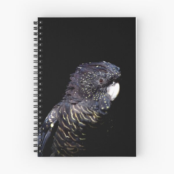 Item preview, Red-Tailed Black Cockatoo II designed and sold by Tamara  Kenneally.