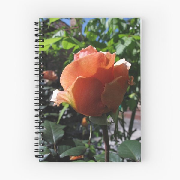 Item preview, Glowing Rose designed and sold by Skyhorse.