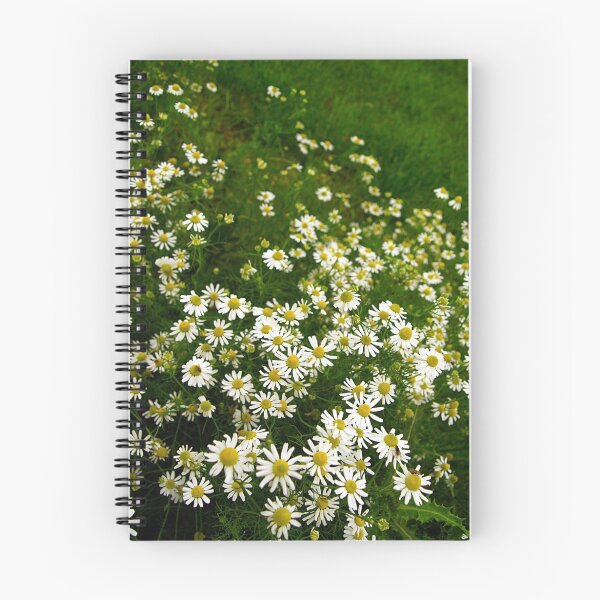 Item preview, Oxeye Daisies designed and sold by Xander Ashwell.