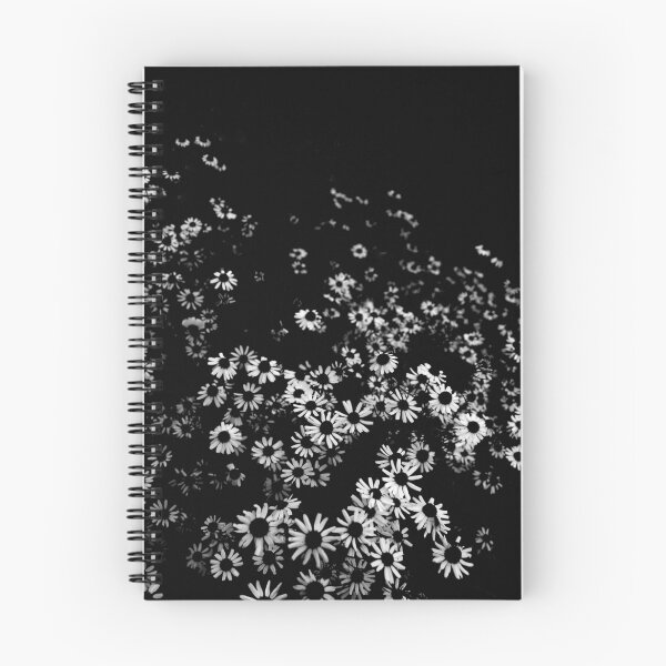Item preview, Black Oxeye Daisies designed and sold by Xander Ashwell.