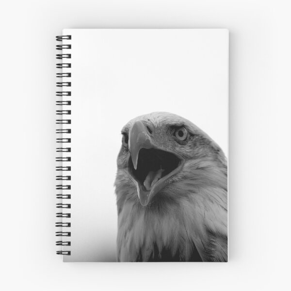 Item preview, Bald Eagle Black and White designed and sold by mrshutterbug.