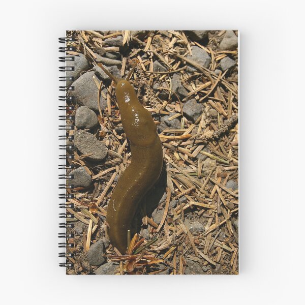 Item preview, Banana Slug designed and sold by rdshaw.