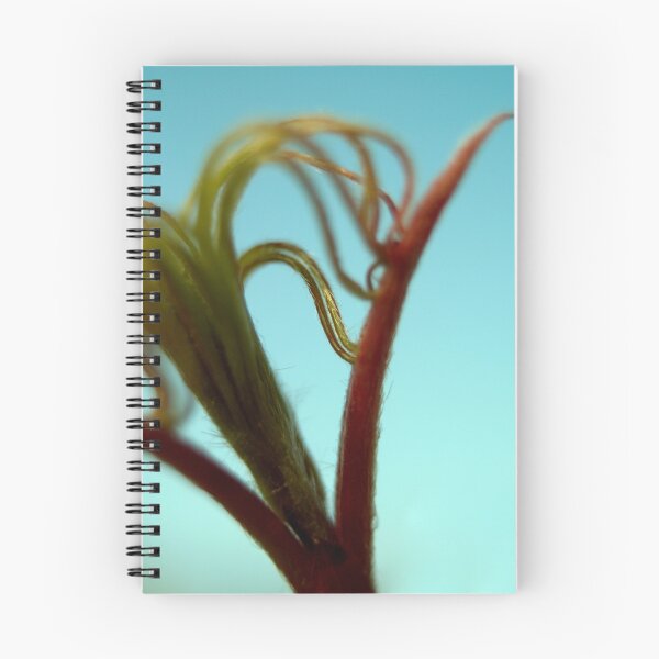 Item preview, Maple shoots designed and sold by Xander Ashwell.