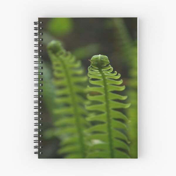 Item preview, Deer Ferns designed and sold by rdshaw.