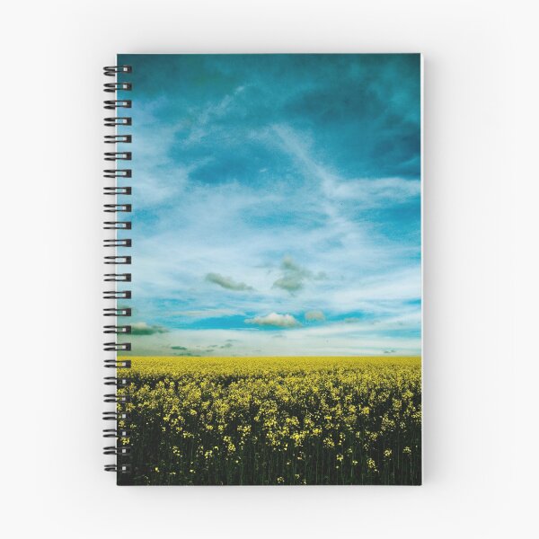 Artikelvorschau, Field of Oil Seed entworfen und verkauft von Xander Ashwell.