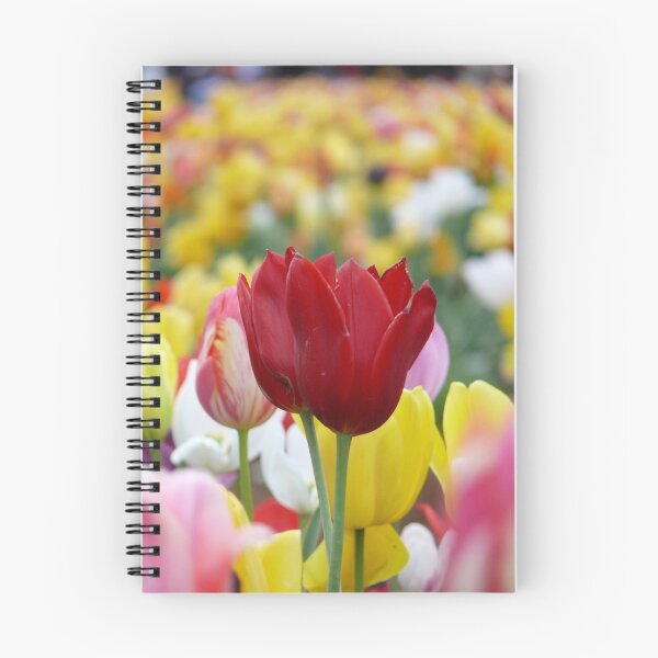 Item preview, Tesslar Tulips designed and sold by Dean Woodyatt.