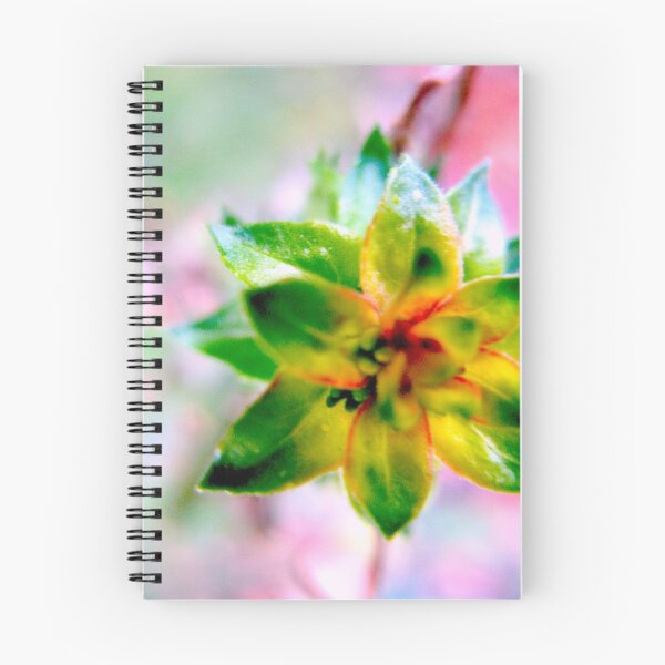 Item preview, Star Foliage designed and sold by MarianBendeth.