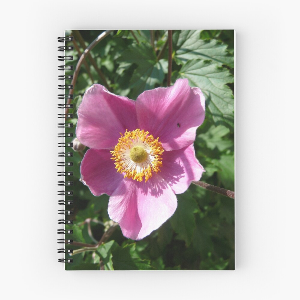 Item preview, Spiral Notebook designed and sold by MischaC.