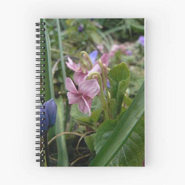 Item preview, A pink violet from the scent garden designed and sold by MischaC.