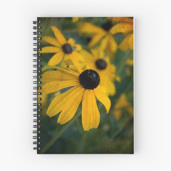 Item preview, Rudbeckia designed and sold by TeresaB.