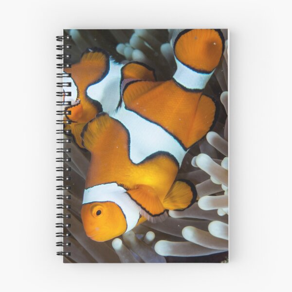 Item preview, Fair dinkum Nemo designed and sold by David Wachenfeld.