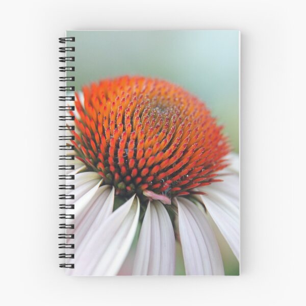 Item preview, First macro. designed and sold by Photography by Jerry Deutsch.