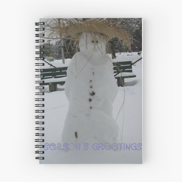 Aperçu de l'œuvre Snow man!.... créée et vendue par sendao.