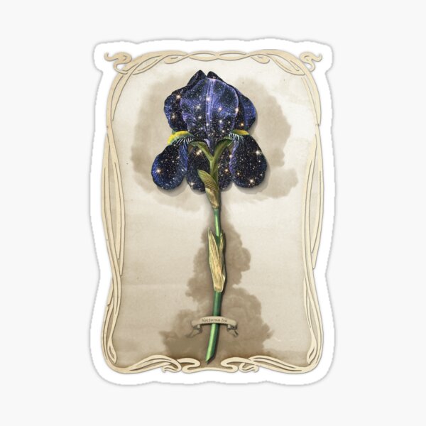 Night Iris Sticker