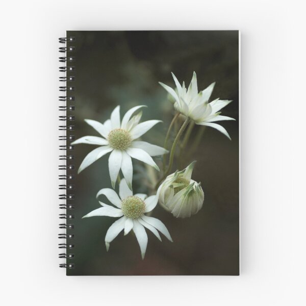 Item preview, Flannel Flowers designed and sold by Dianne English.