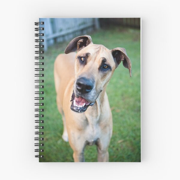 Item preview, Kaya the Great Dane designed and sold by Charlotte Reeves.