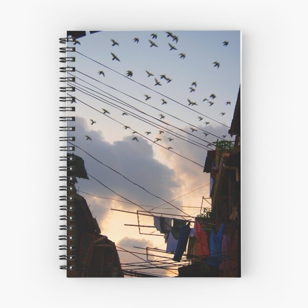 Item preview, Where Pigeons Take Flight designed and sold by eyesoftheeast.