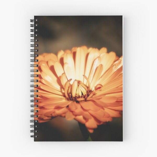 Item preview, Orange Beauty designed and sold by ElidArt.