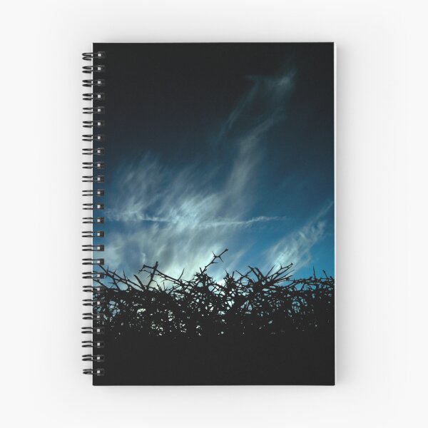 Item preview, Blackthorn designed and sold by Xander Ashwell.