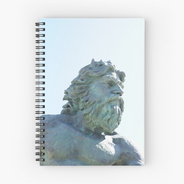 Artikelvorschau, king neptune headshot entworfen und verkauft von Deweyreg.