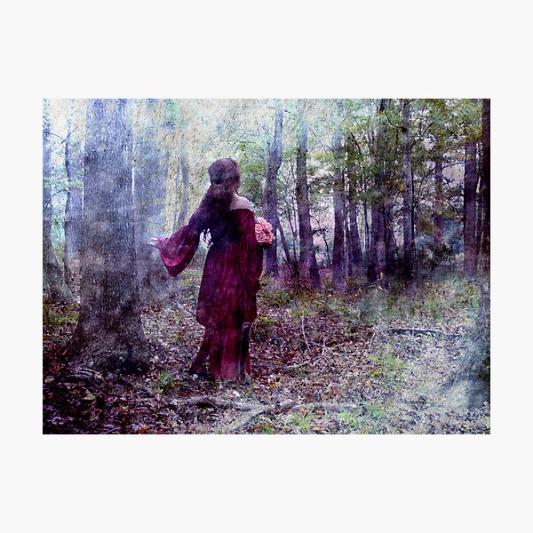 The Woods Speak Photographic Print
