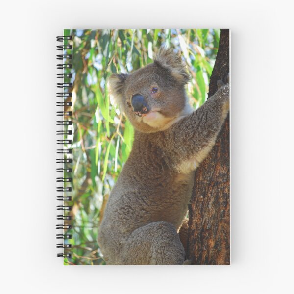Artikelvorschau, Koala entworfen und verkauft von cameron meggs.