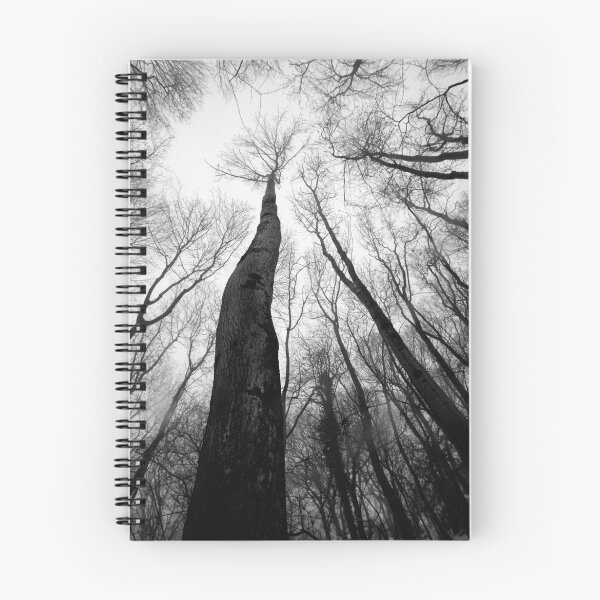 Item preview, Reaching for the sky designed and sold by Xander Ashwell.