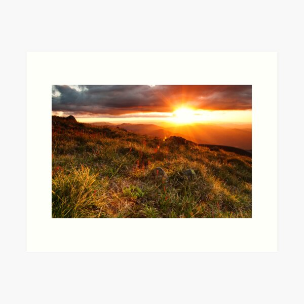 Item preview, Feathertop sunset designed and sold by bonsta.