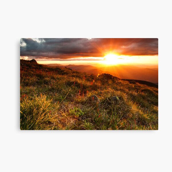 Item preview, Feathertop sunset designed and sold by bonsta.