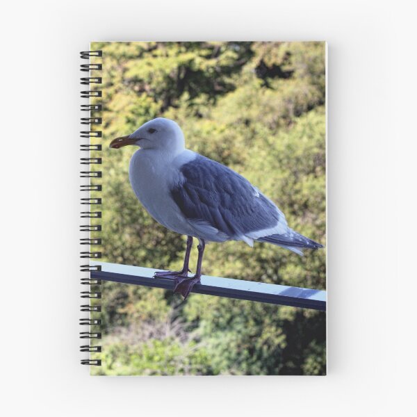 Item preview, Seagul in Victoria, B.C. designed and sold by NoahC.