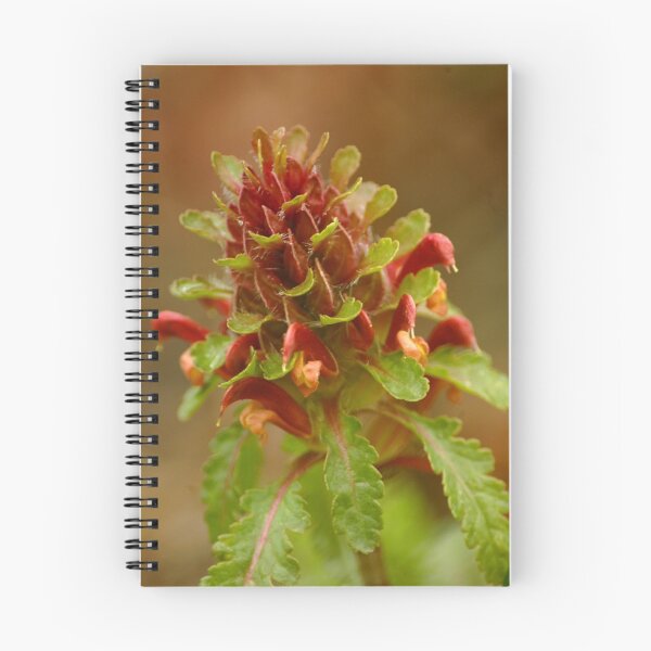 Item preview, Liverwart designed and sold by Mountainimage.
