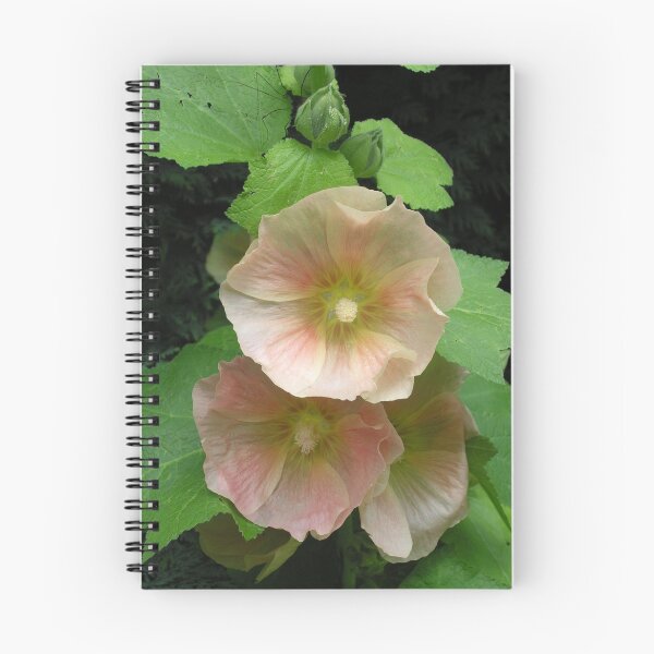 Item preview, A blush-pink hollyhock (Alcea rosea) designed and sold by Philip Mitchell.