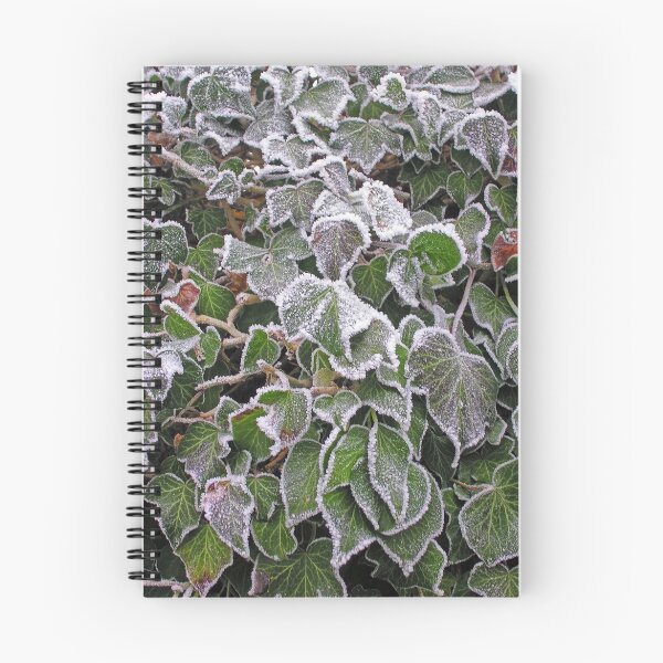 Item preview, Frost on ivy (Hedera Colchica "Dentata") designed and sold by Philip Mitchell.
