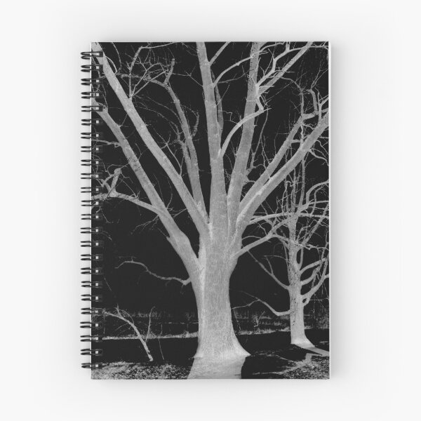 Item preview, Negative tree designed and sold by Anthony Reed.