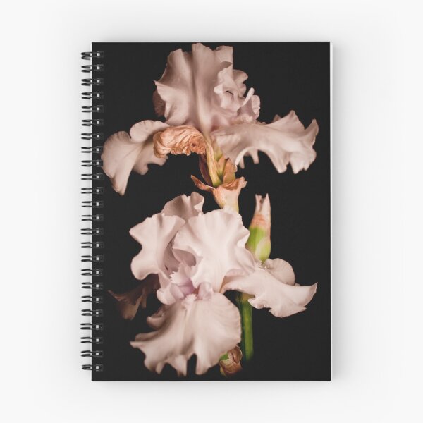 Item preview, White Iris designed and sold by Danny Clarkson.