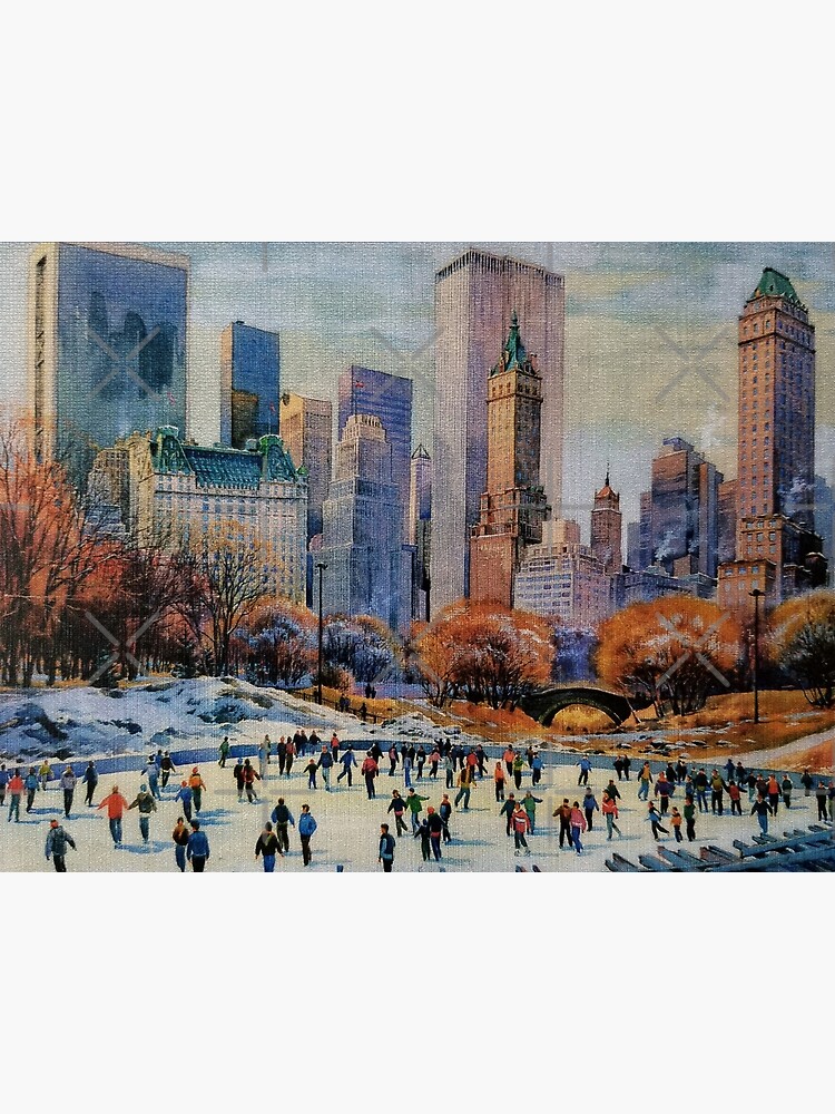 Winter in Central Park, New York, Manhattan | Postcard