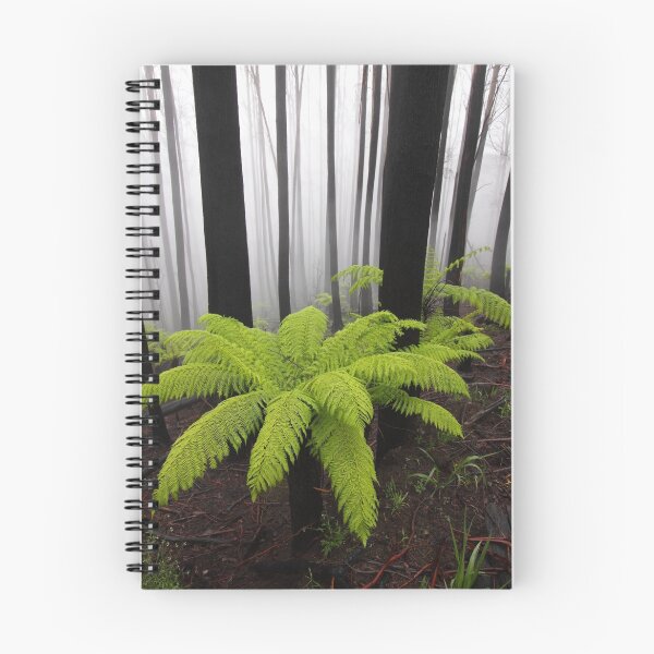 Item preview, Fog,n Fern. Dicksonia Antarctica. designed and sold by Donovan Wilson.