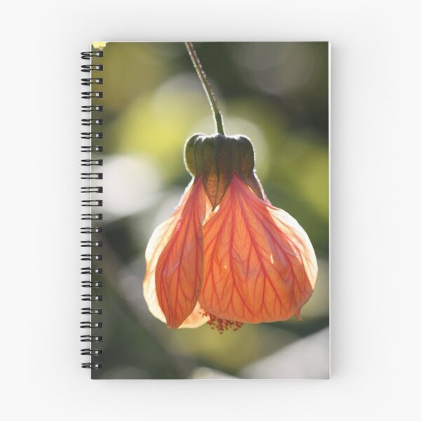 Item preview, Little lantern designed and sold by Isabella Teng.
