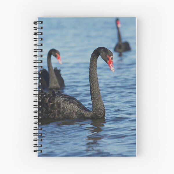 Item preview, Swan's of the West designed and sold by EverChanging1.