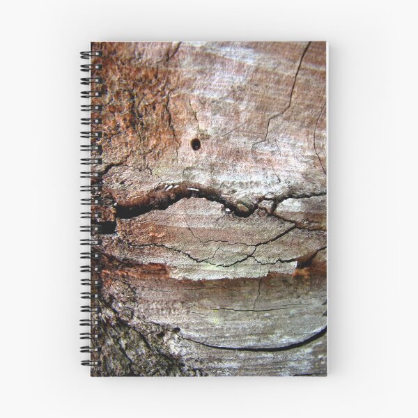 Item preview, New Beginning designed and sold by Kathie Nichols.