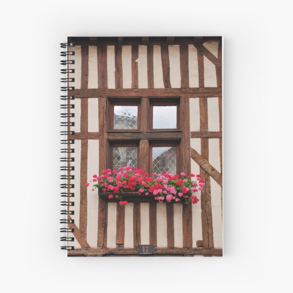 Item preview, Window at Troyes, France designed and sold by MaluC.