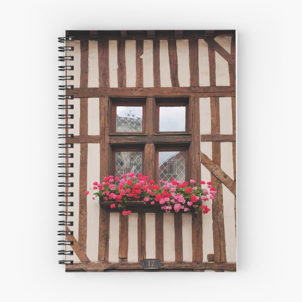Item preview, Window at Troyes, France designed and sold by MaluC.