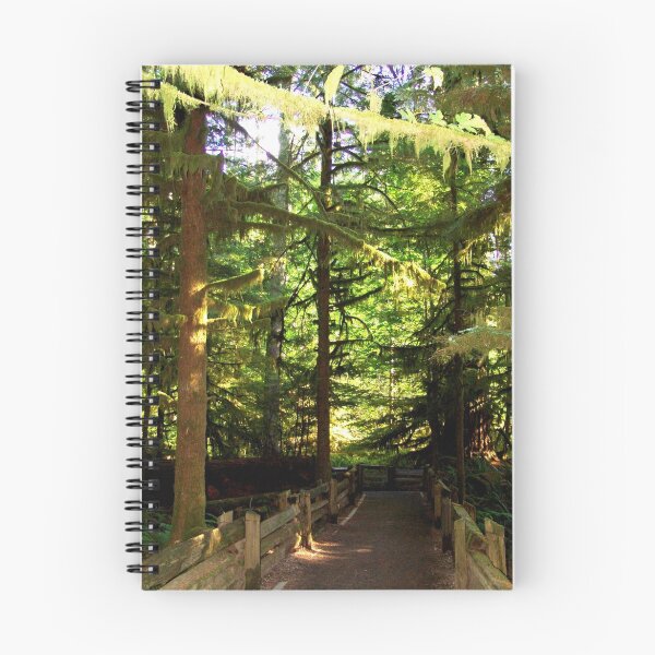 Item preview, Walkway designed and sold by Jann Ashworth.